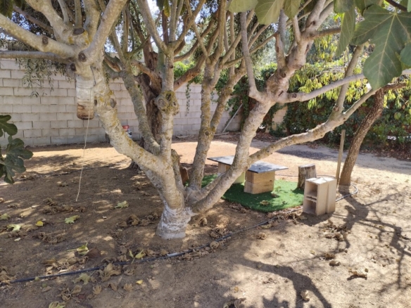 Imagen 3 de Casa-Chalet en Venta en Chiclana De La Frontera Cádiz