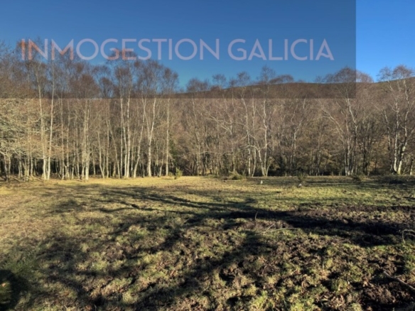 Imagen 1 de Solar residencial en Venta en Muras Lugo