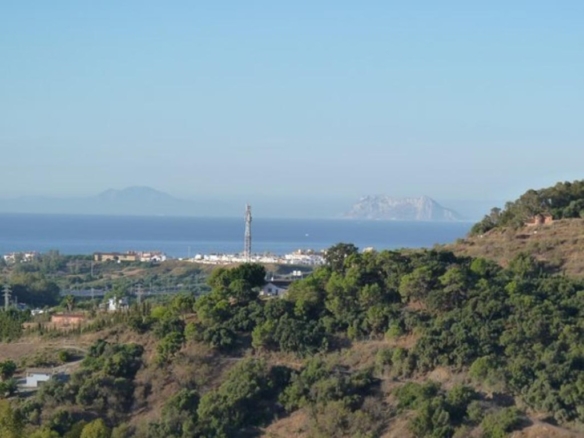 Imagen 2 de SE VENDE VARIAS PARCELAS SITUADAS EN LA ZONA DE FORREST HILLS