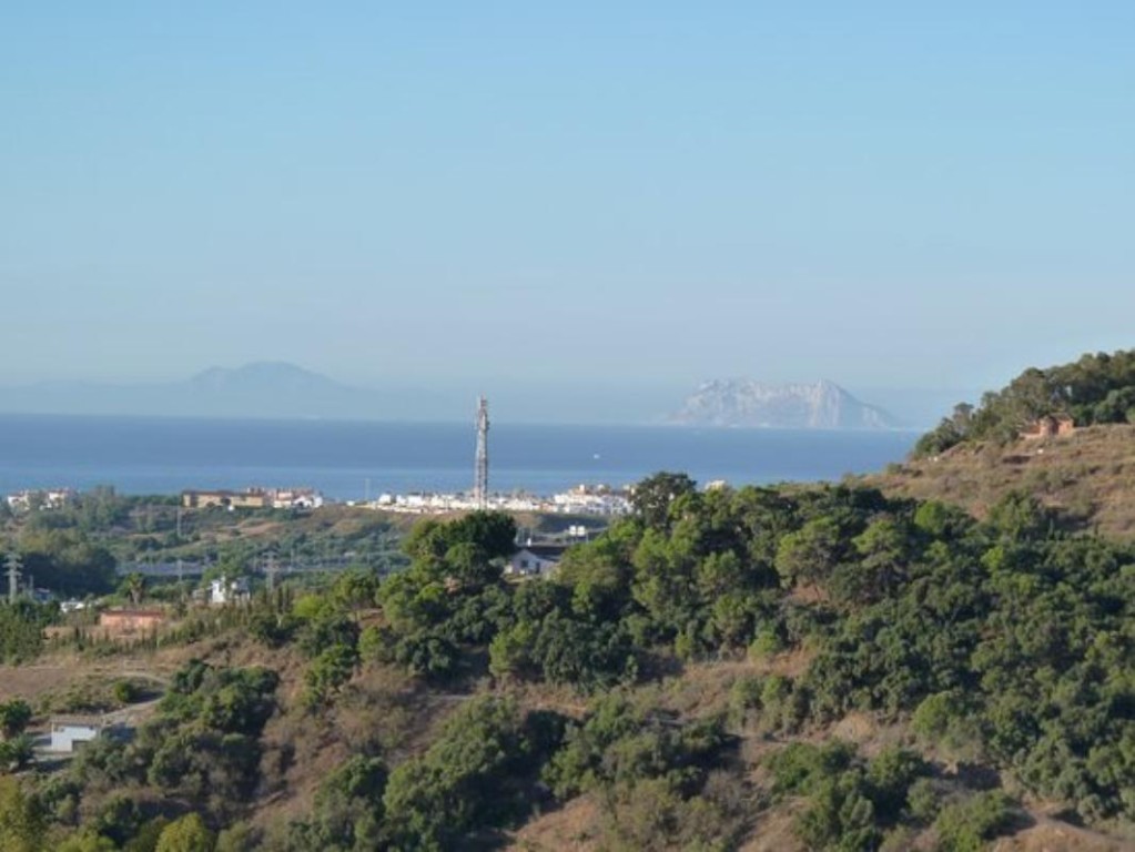 Imagen 2 de SE VENDE VARIAS PARCELAS SITUADAS EN LA ZONA DE FORREST HILLS