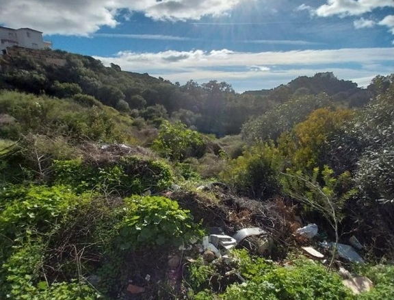 Imagen 4 de SE VENDE VARIAS PARCELAS SITUADAS EN LA ZONA DE FORREST HILLS