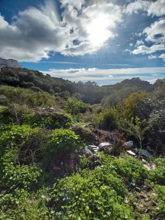 Imagen 4 de SE VENDE VARIAS PARCELAS SITUADAS EN LA ZONA DE FORREST HILLS