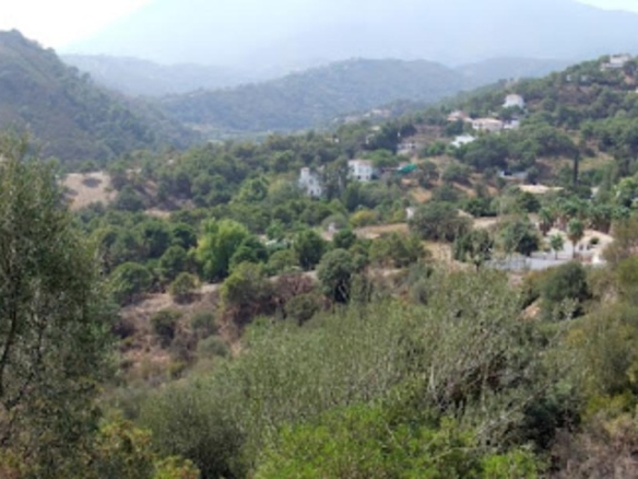 Imagen 1 de SE VENDE VARIAS PARCELAS SITUADAS EN LA ZONA DE FORREST HILLS