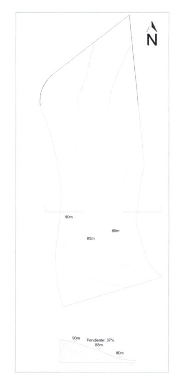 Imagen 2 de SE VENDE MAGNÍFICA PARCELA EDIFICABLE EN FOREST HILL