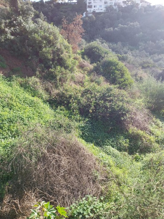 Imagen 2 de SE VENDEN VARIAS PARCELAS EN LA ZONA DE FOREST HILL