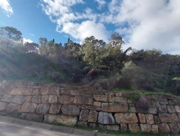 Imagen 3 de SE VENDEN VARIAS PARCELAS EN LA ZONA DE FOREST HILL