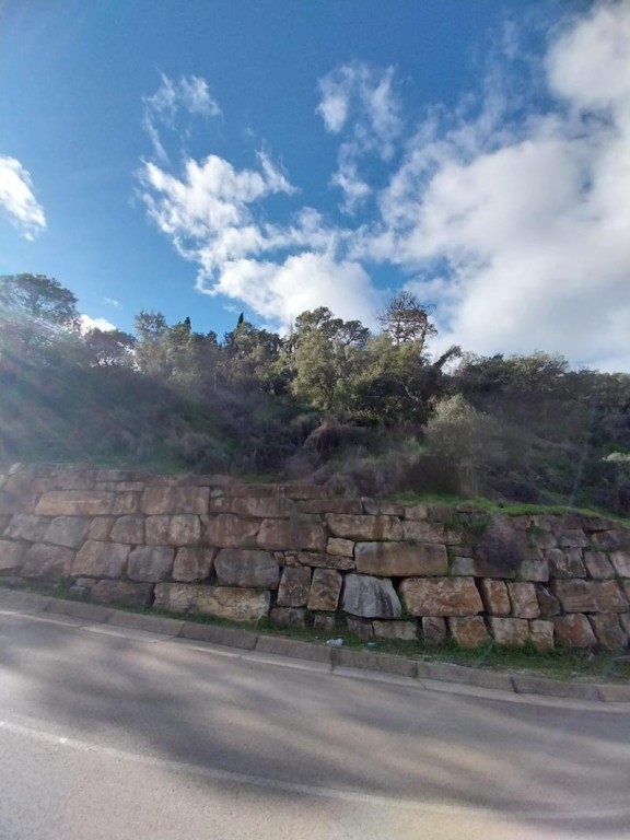 Imagen 3 de SE VENDEN VARIAS PARCELAS EN LA ZONA DE FOREST HILL