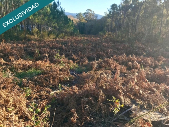 Imagen 1 de Terreno edificable en A Toxeira