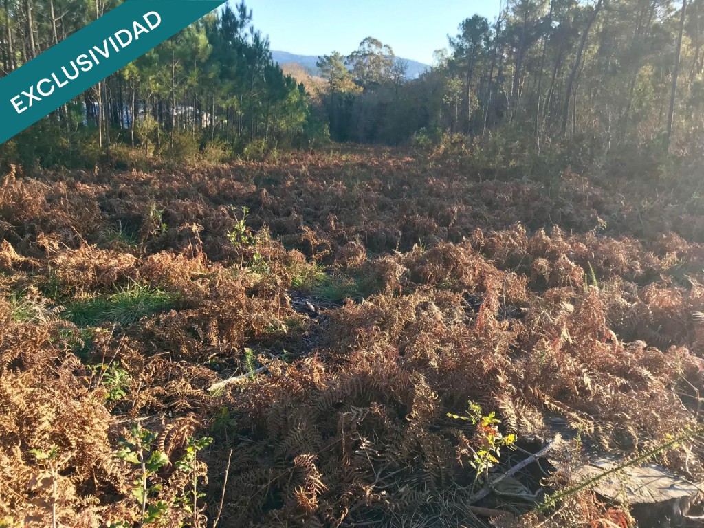 Imagen 1 de Terreno edificable en A Toxeira