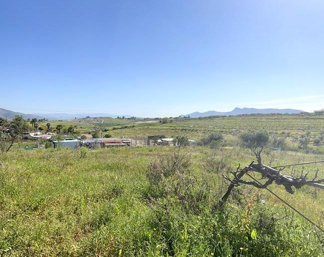 Imagen 2 de ¡OPORTUNIDAD! FINCA RÚSTICA DE 5043M2 DE REGADIO EN CÁRTAMA