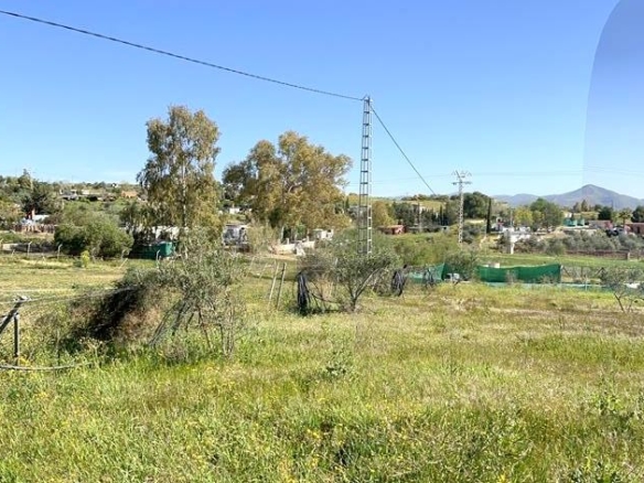 Imagen 1 de ¡OPORTUNIDAD! FINCA RÚSTICA DE 5043M2 DE REGADIO EN CÁRTAMA