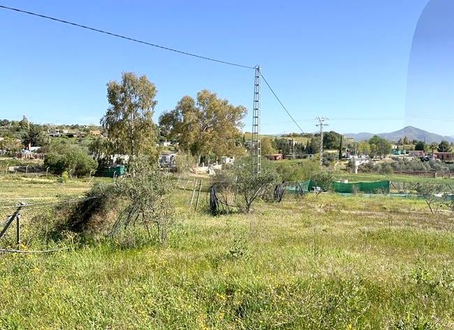 Imagen 1 de ¡OPORTUNIDAD! FINCA RÚSTICA DE 5043M2 DE REGADIO EN CÁRTAMA