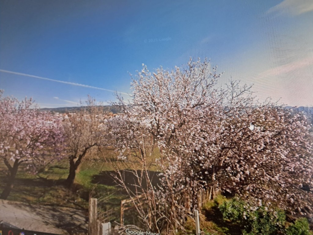 La (Fiñana) Almería