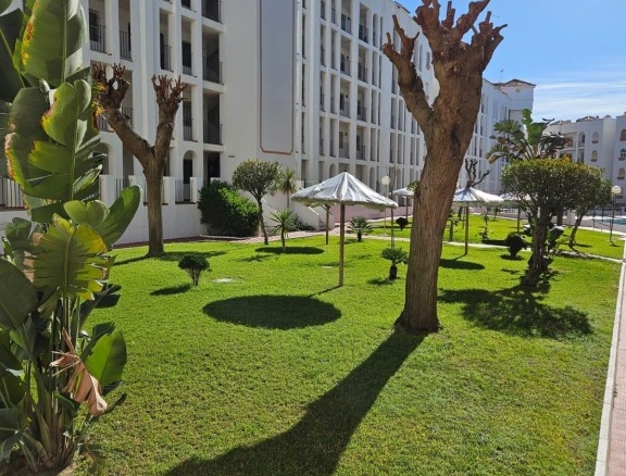 Imagen 3 de Piso en venta en Edificio Caño Guerrero (Almonte)