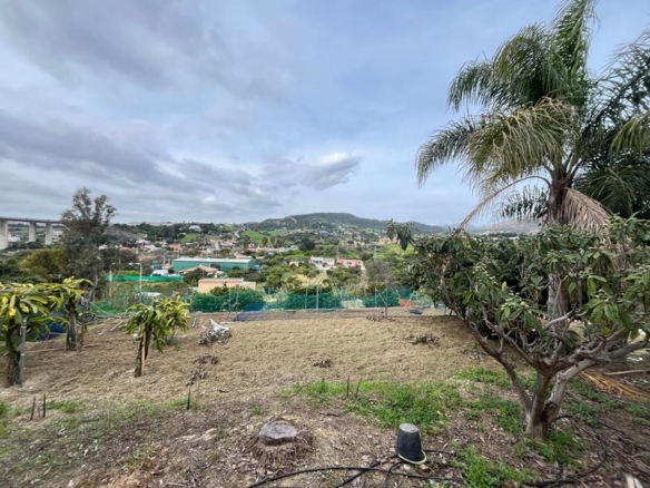 Imagen 4 de SE VENDE PARCELA DE 3600M2 CON VARIAS CONSTRUCCIONES LEGALIZADAS.