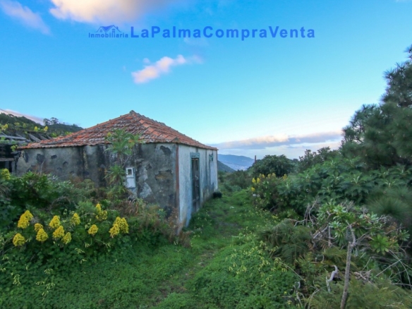 El Santa Cruz de Tenerife