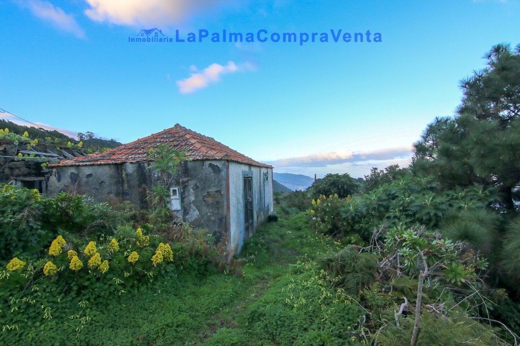 El Santa Cruz de Tenerife