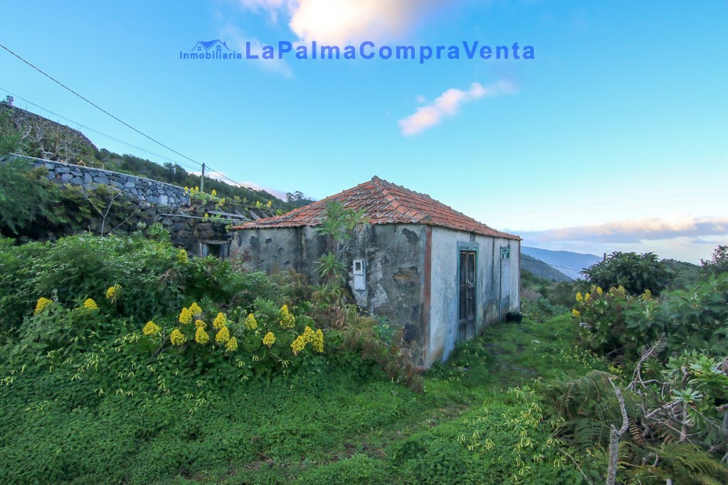 Imagen 2 de Casa de pueblo en Venta en Poleal