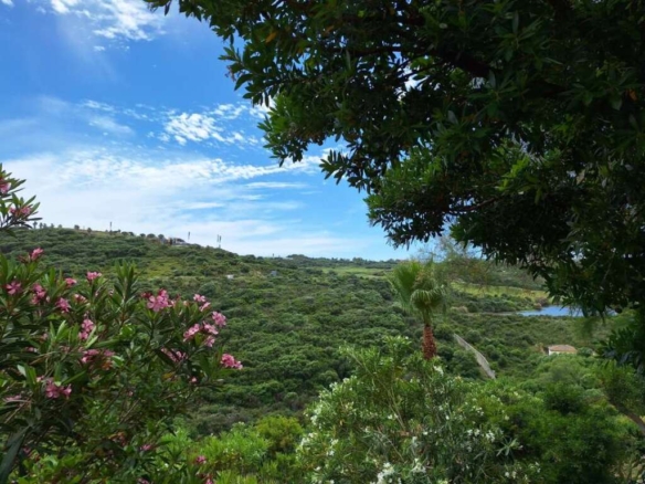 Imagen 4 de Apartamento en Venta en San Roque Cádiz