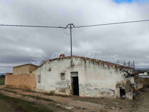 Imagen 2 de Casa de campo-Masía en Venta en Almansa Albacete