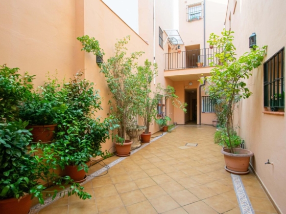 Imagen 2 de Precioso apartamento junto Calle Feria!!!