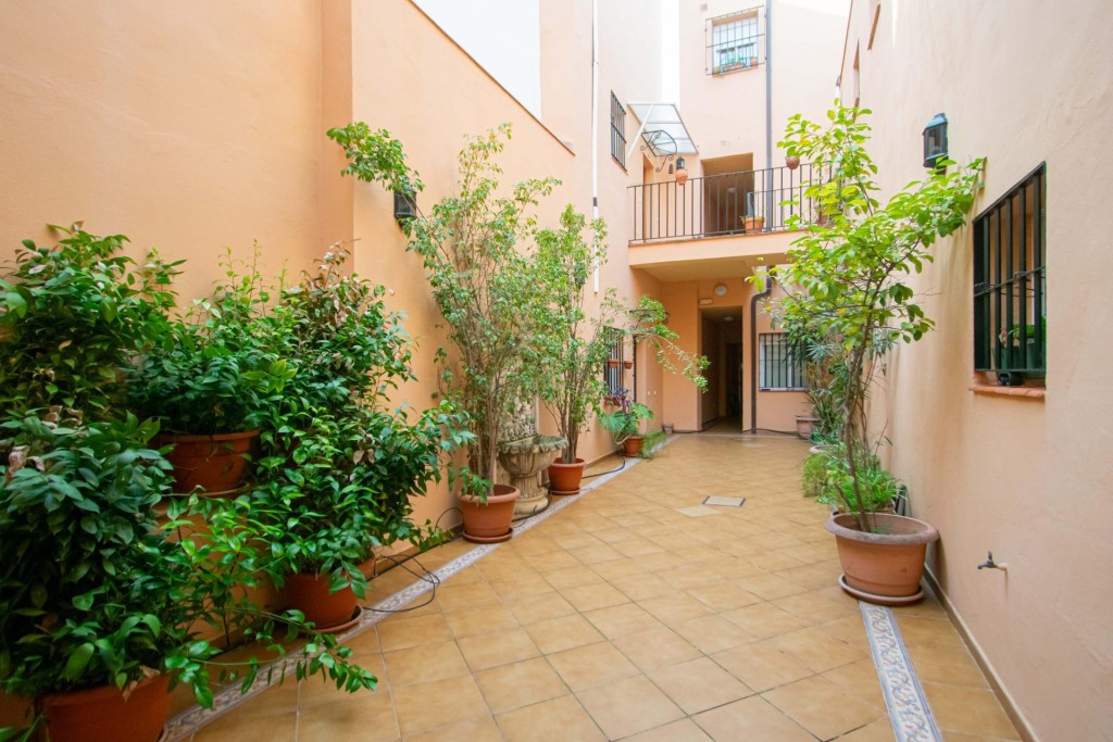 Imagen 2 de Precioso apartamento junto Calle Feria!!!