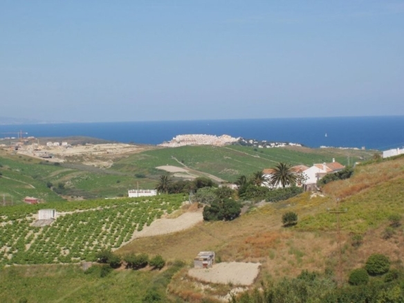 Imagen 2 de PARCELA EN VENTA EN MANILVA PUEBLO