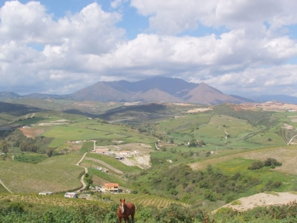 Imagen 3 de PARCELA EN VENTA EN MANILVA PUEBLO