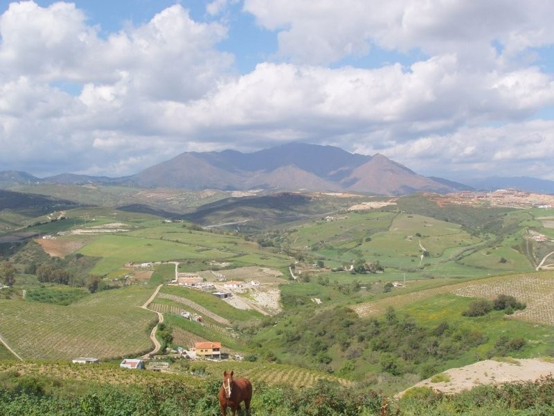 Imagen 3 de PARCELA EN VENTA EN MANILVA PUEBLO