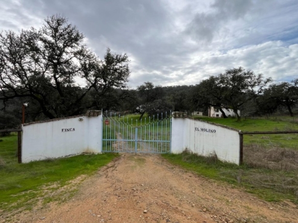 Imagen 2 de Finca en venta en El Castillo de las Guardas