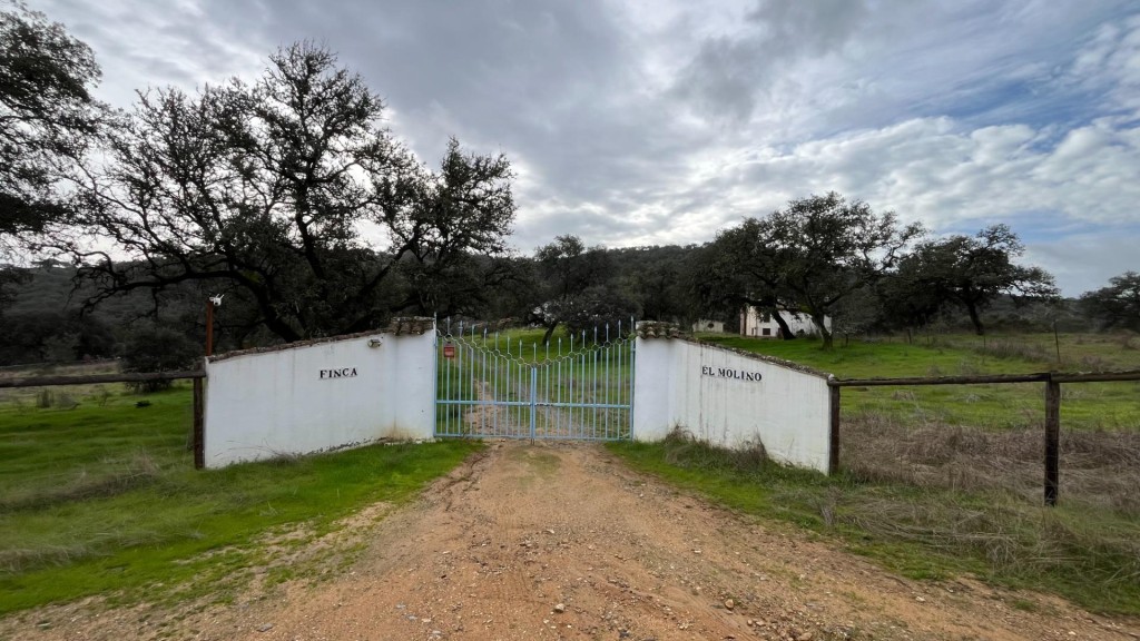 Imagen 2 de Finca en venta en El Castillo de las Guardas