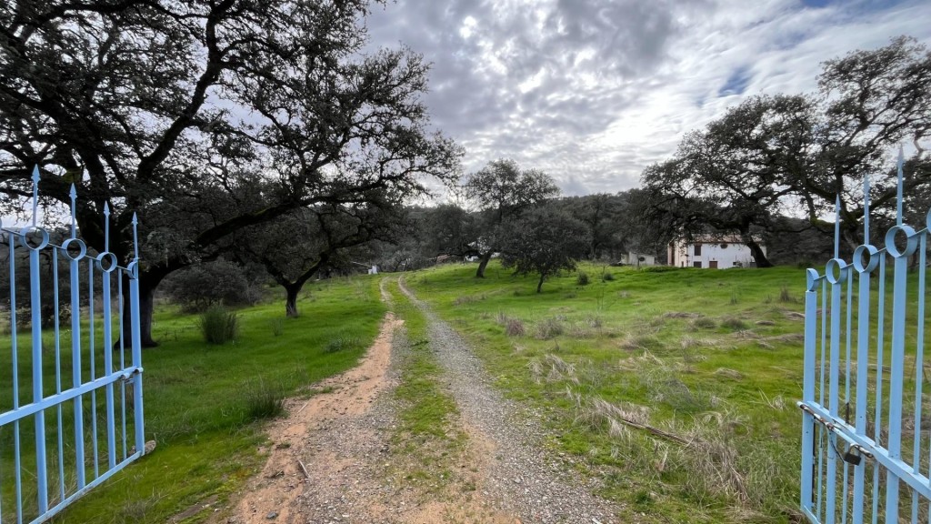 Imagen 3 de Finca en venta en El Castillo de las Guardas