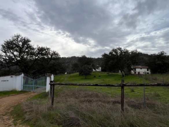 Imagen 4 de Finca en venta en El Castillo de las Guardas