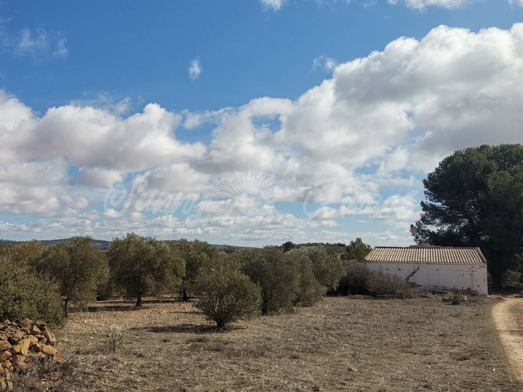 Imagen 3 de Casa de campo-Masía en Venta en Yecla Murcia
