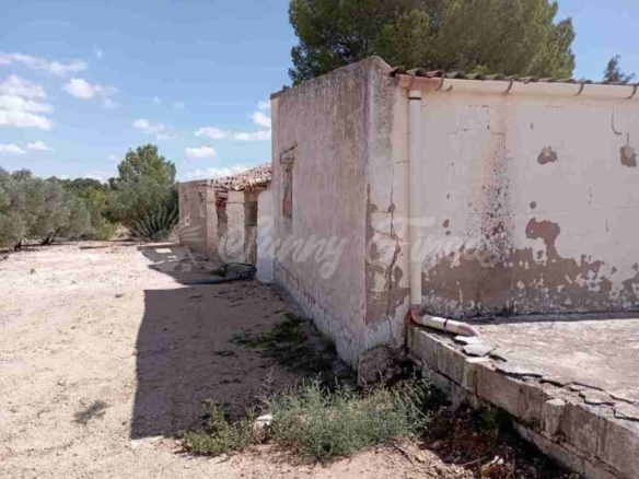 Imagen 4 de Casa de campo-Masía en Venta en Yecla Murcia