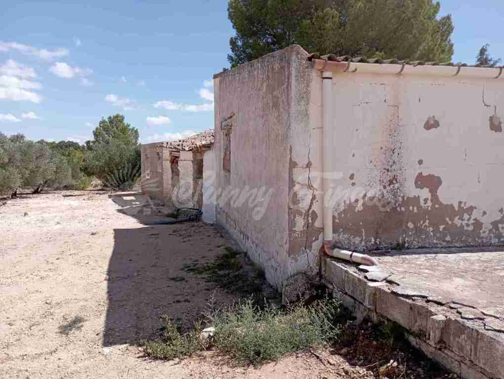Imagen 4 de Casa de campo-Masía en Venta en Yecla Murcia
