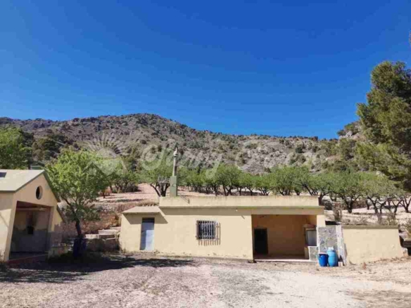 Imagen 3 de Casa de campo-Masía en Venta en Salinas Alicante