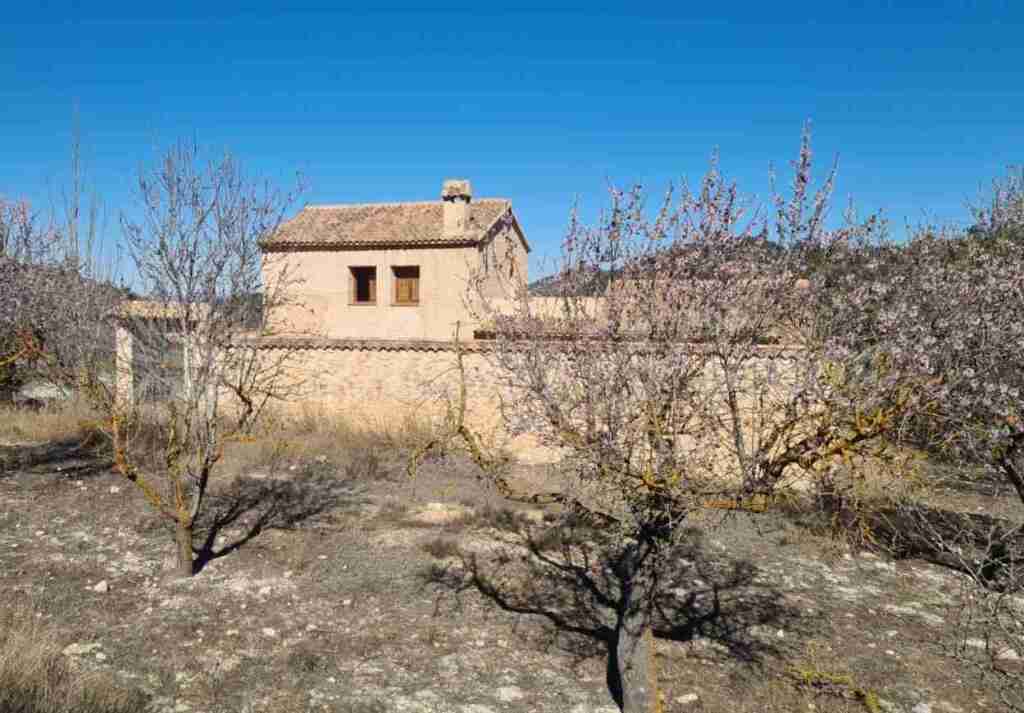 Imagen 3 de Casa de campo-Masía en Venta en Biar Alicante