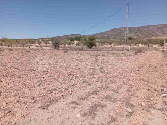 Imagen 2 de Suelo urbanizable en Venta en Pinoso Alicante