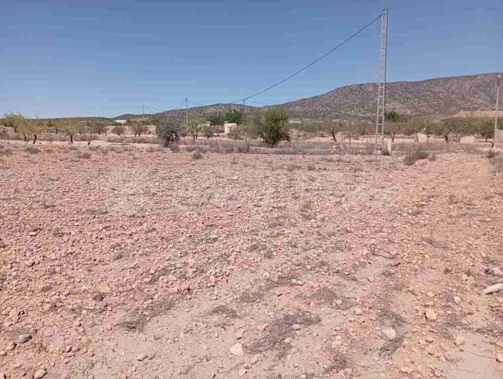 Imagen 2 de Suelo urbanizable en Venta en Pinoso Alicante