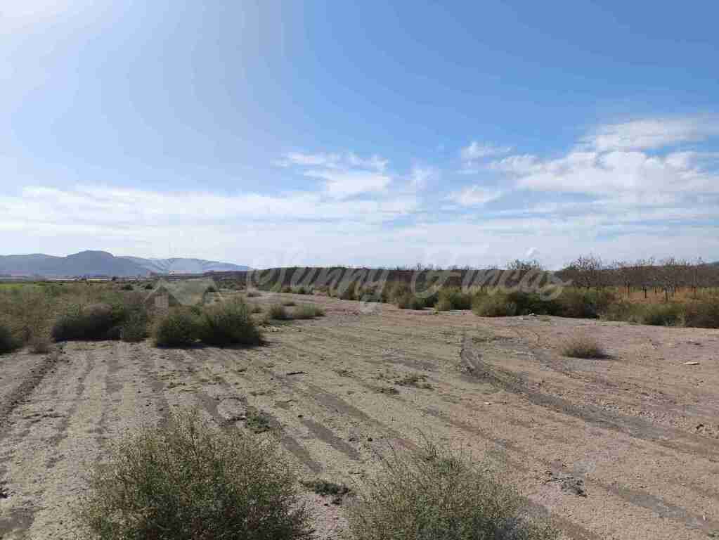 Imagen 2 de Suelo urbanizable en Venta en Villena Alicante