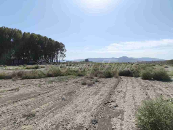 Imagen 3 de Suelo urbanizable en Venta en Villena Alicante