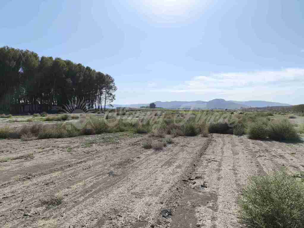 Imagen 3 de Suelo urbanizable en Venta en Villena Alicante