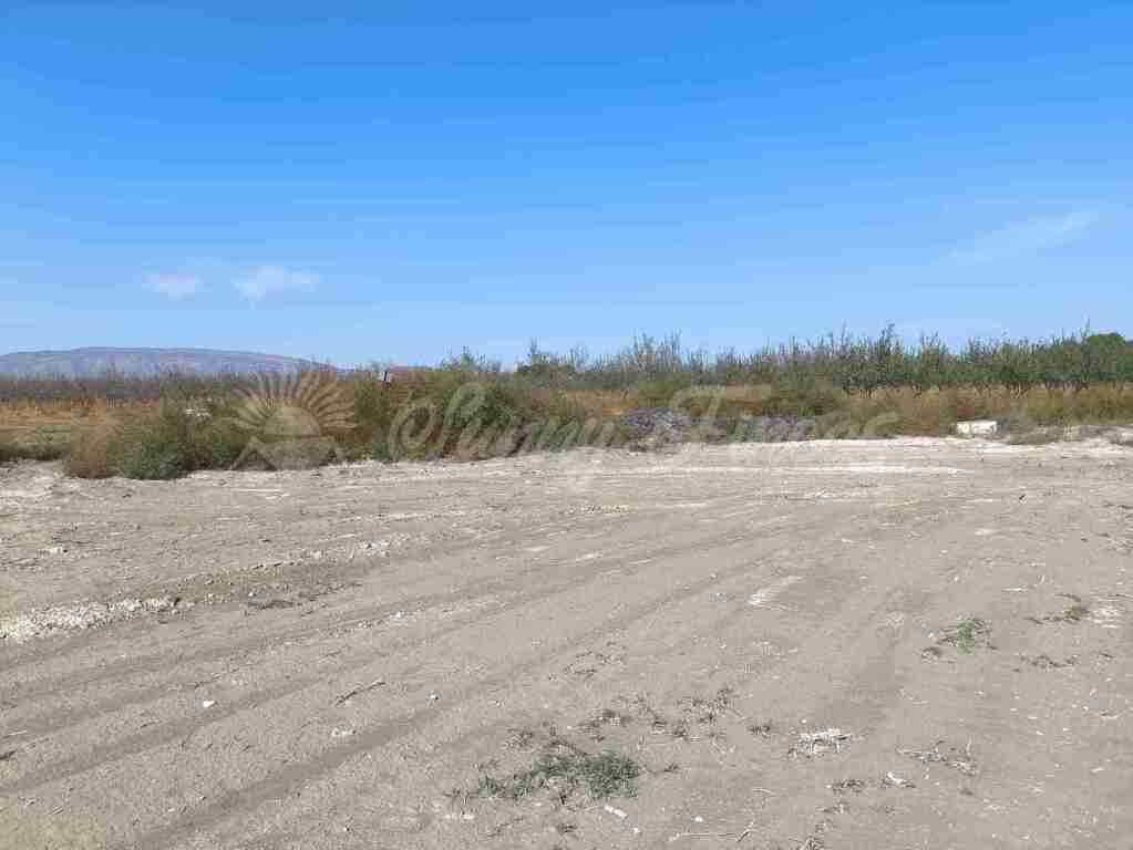 Imagen 4 de Suelo urbanizable en Venta en Villena Alicante