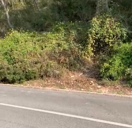 Imagen 2 de Solar urbano en venta en Mastrader