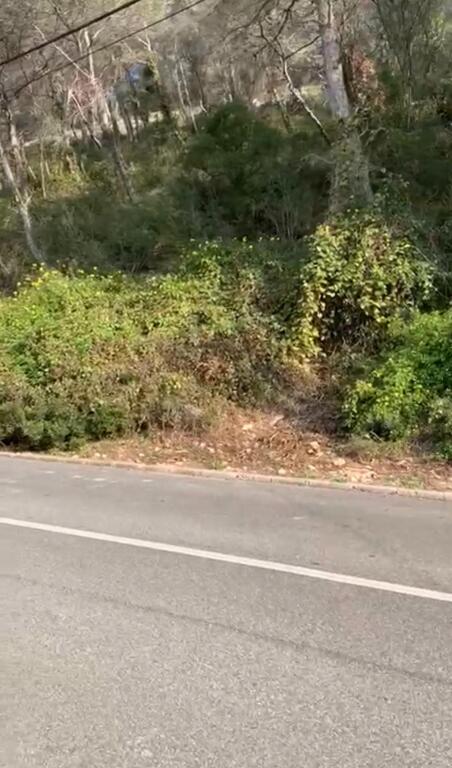 Imagen 2 de Solar urbano en venta en Mastrader