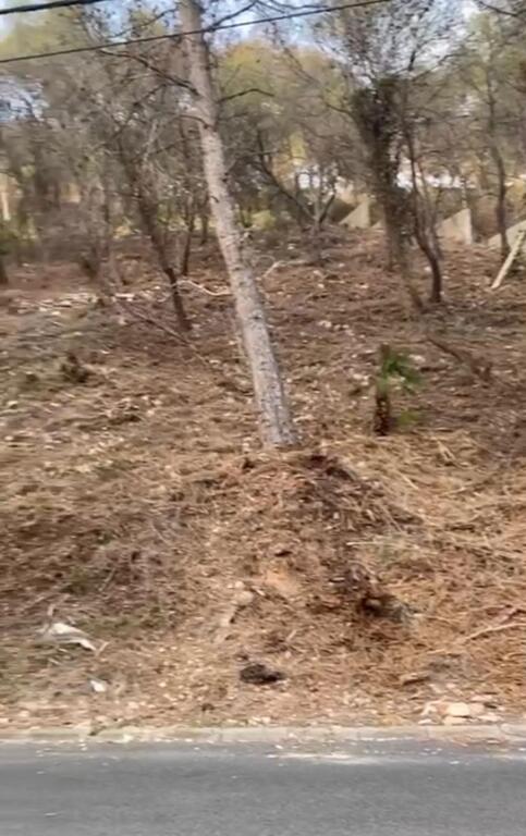 Imagen 3 de Solar urbano en venta en Mastrader