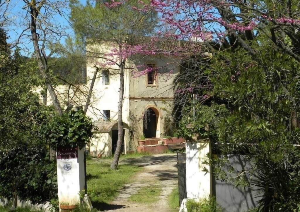 Imagen 2 de Casa rural con encanto en entorno natural privilegiado en el Alt Penedés.