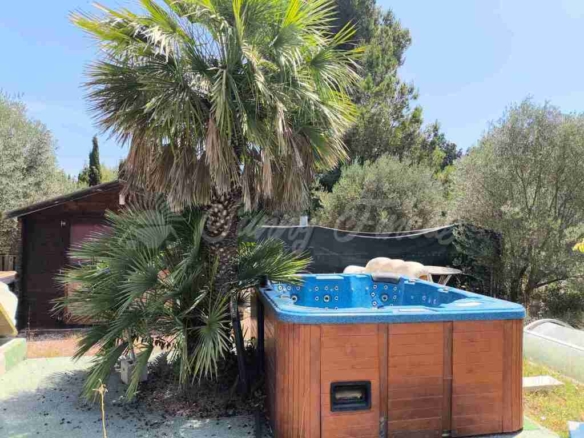 Imagen 4 de Casa-Chalet en Venta en Villena Alicante