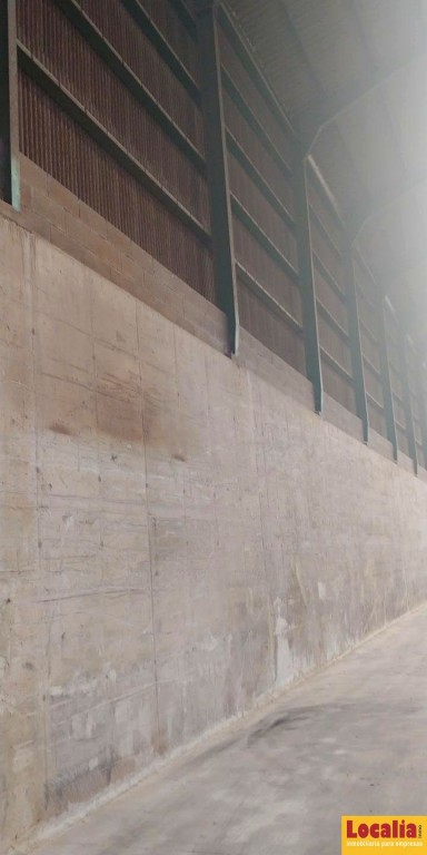Imagen 3 de 2000 metros de nave en Polígono de Parayas
